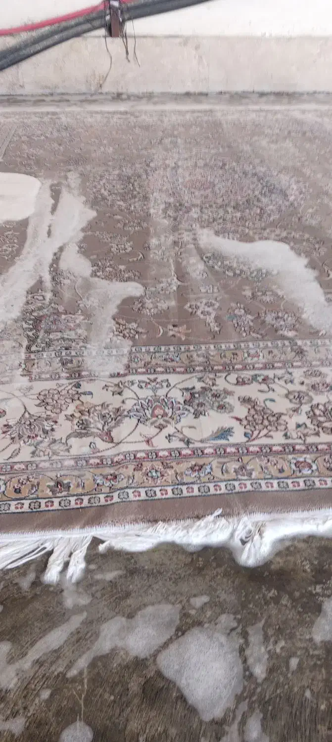 قالیشویی  کیفیت برترشهرما 24ساعت|خدمات نظافت|مشهد, مقدم|دیوار