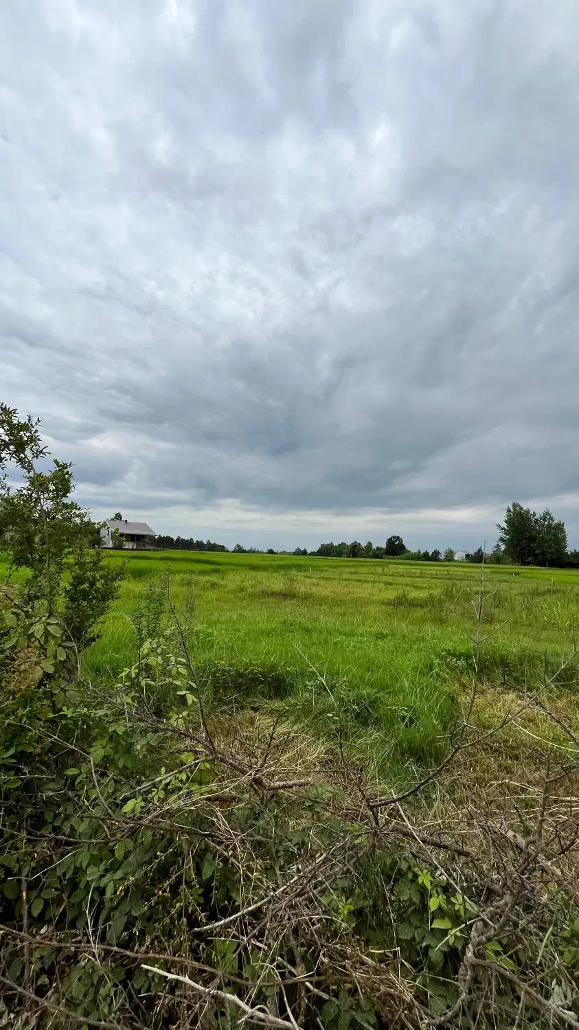 زمین بافت روستا داخل طرح هادی رضوانشهر|فروش زمین و ملک کلنگی|رضوانشهر, |دیوار