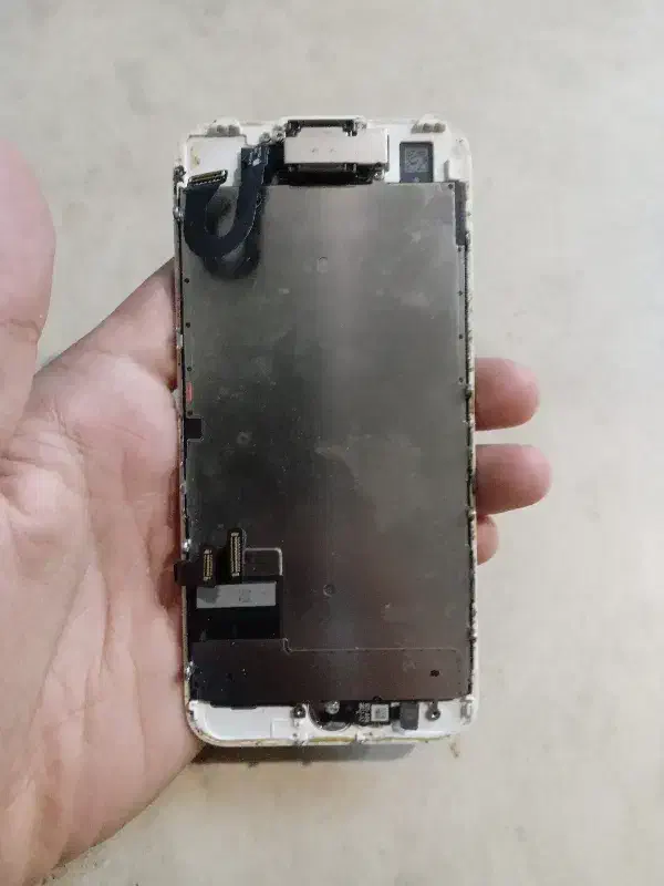 LCD  iphone 7|لوازم جانبی موبایل و تبلت|شاهرود, |دیوار