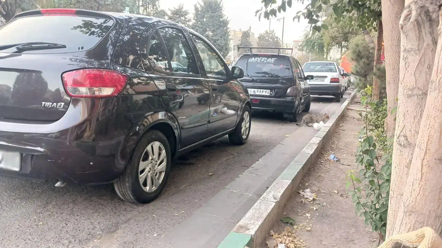 تیبا مدل ۹۶|خودرو سواری و وانت|کرج, مصباح|دیوار