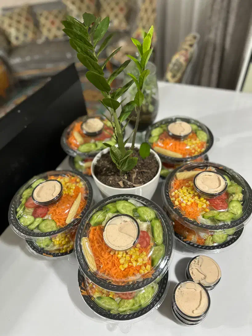 سالاد و ساندویچ و غذاهای خانگی|خدمات پذیرایی، مراسم|شیراز, شیمی گیاه|دیوار