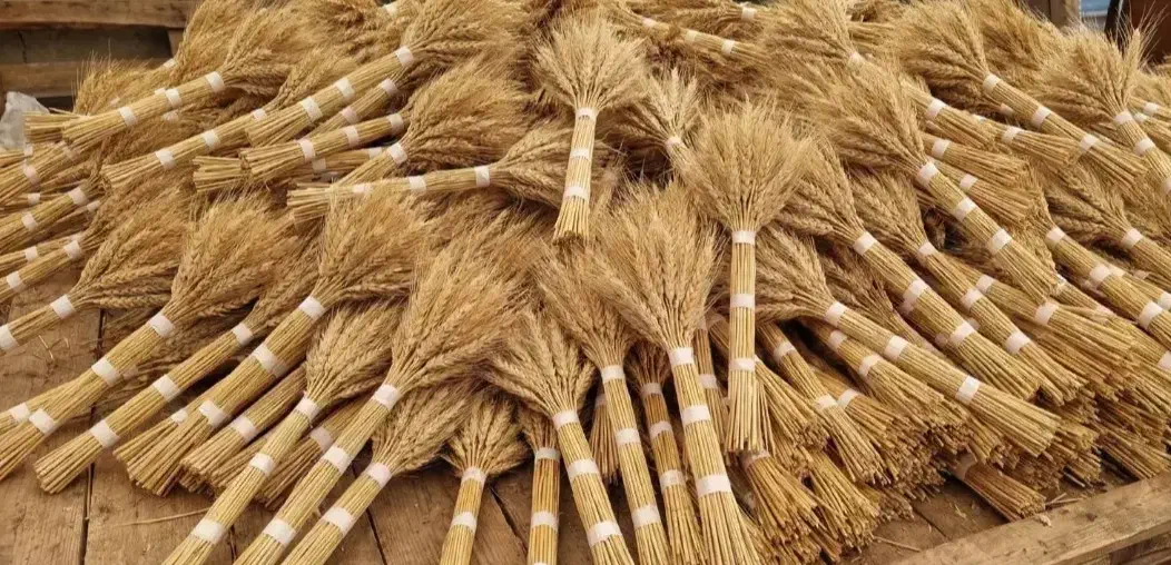 خوشه گندم|عمده‌فروشی|شوشتر, |دیوار