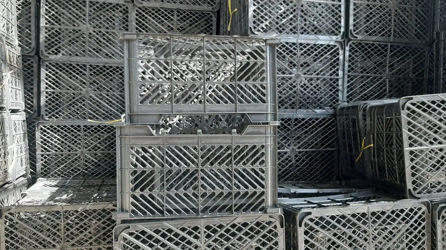 تولیدی سبد میوه و گوجه ۱۶ کیلویی|عمده‌فروشی|زرقان, |دیوار