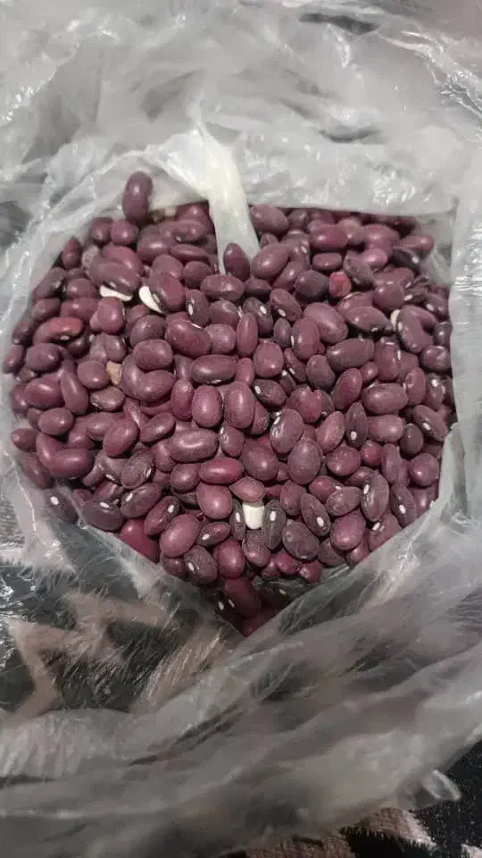 لوبیا قرمز ازنا در کوهدشت|عمده‌فروشی|کوهدشت, |دیوار