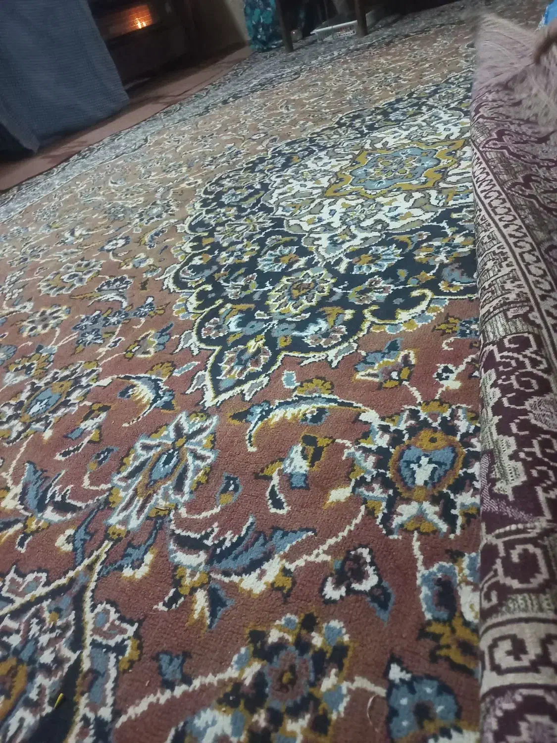 قالی دوازده متری|فرش|کلاله, |دیوار