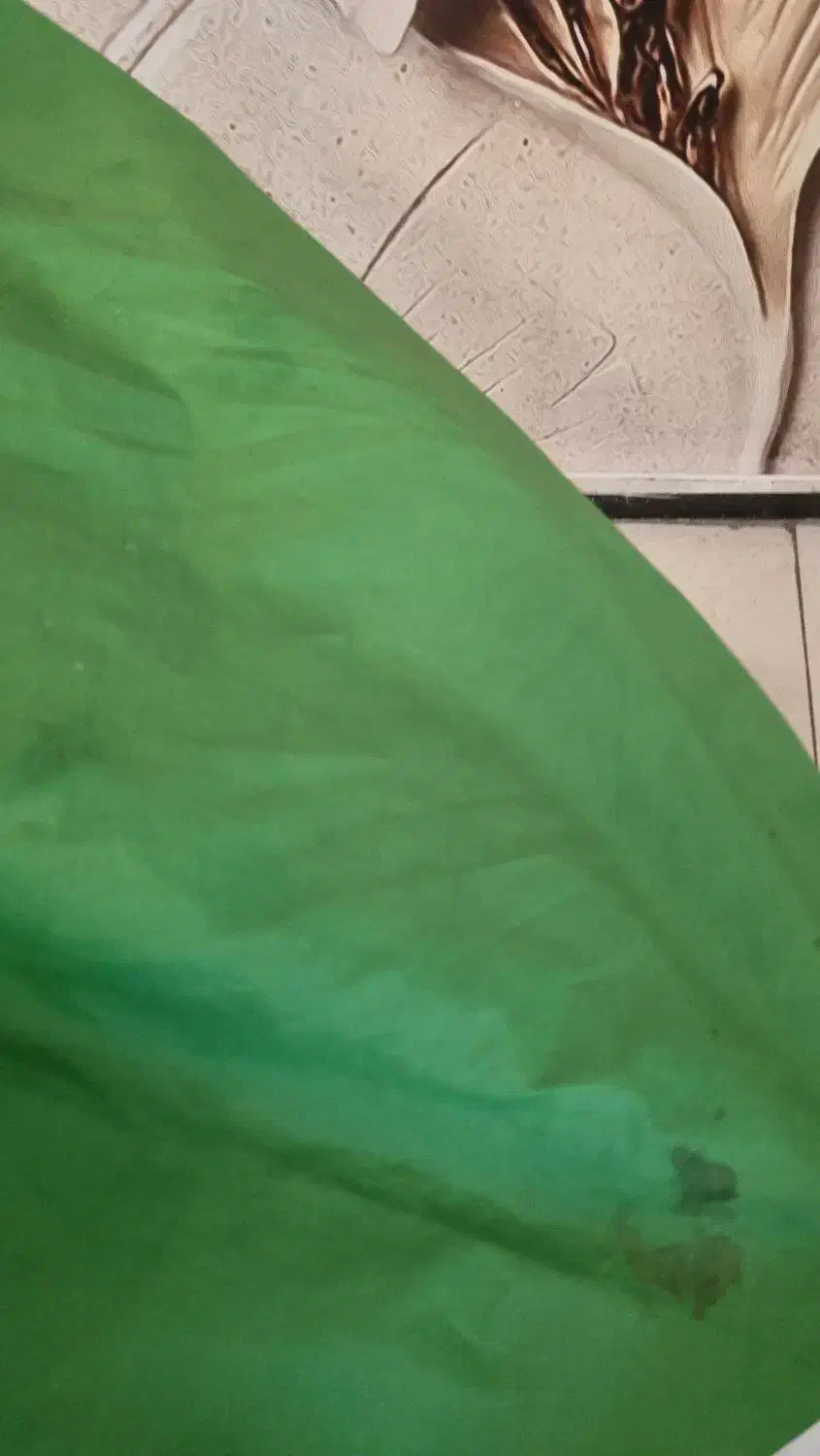 فروش شماره تلفن ثابت|تلفن رومیزی|تبریز, |دیوار