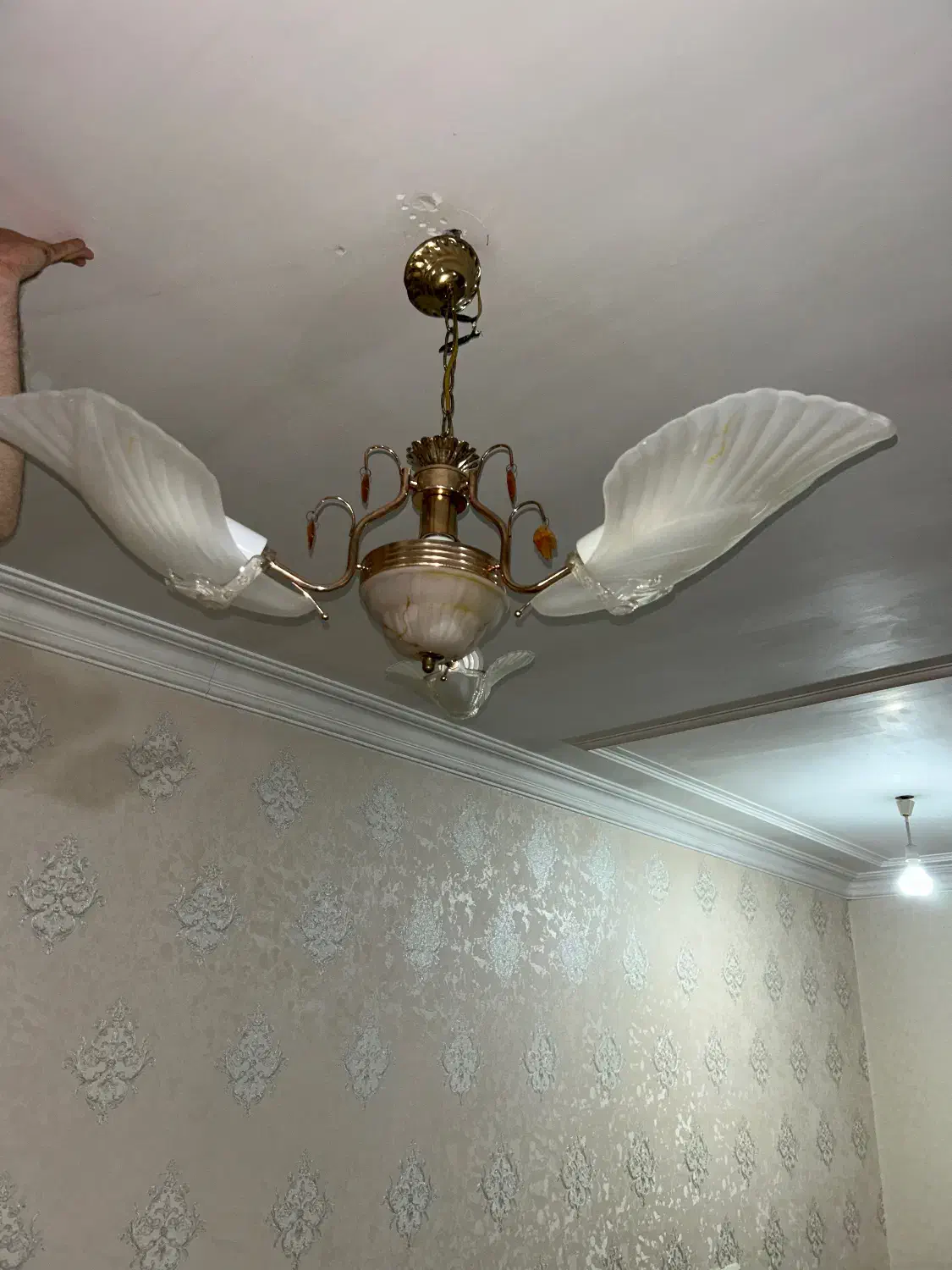 لوستر|لوستر و چراغ آویز|اهواز, کیان اباد|دیوار