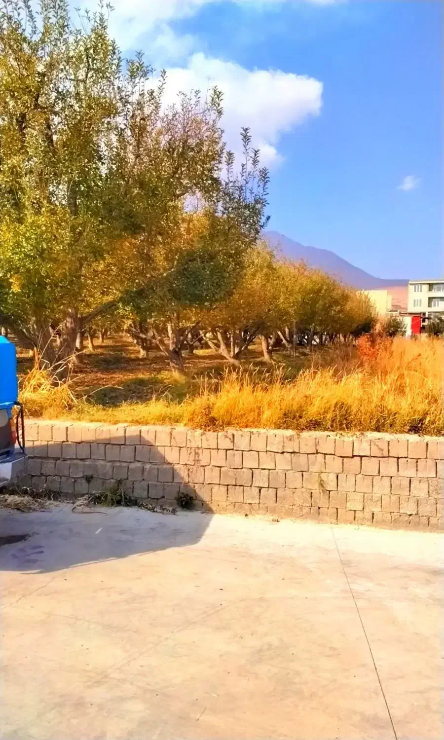 باغ زراعی بهمراه سردخانه و خانه مسکونی و چاه عمیق|فروش خانه و ویلا|اشنویه, |دیوار