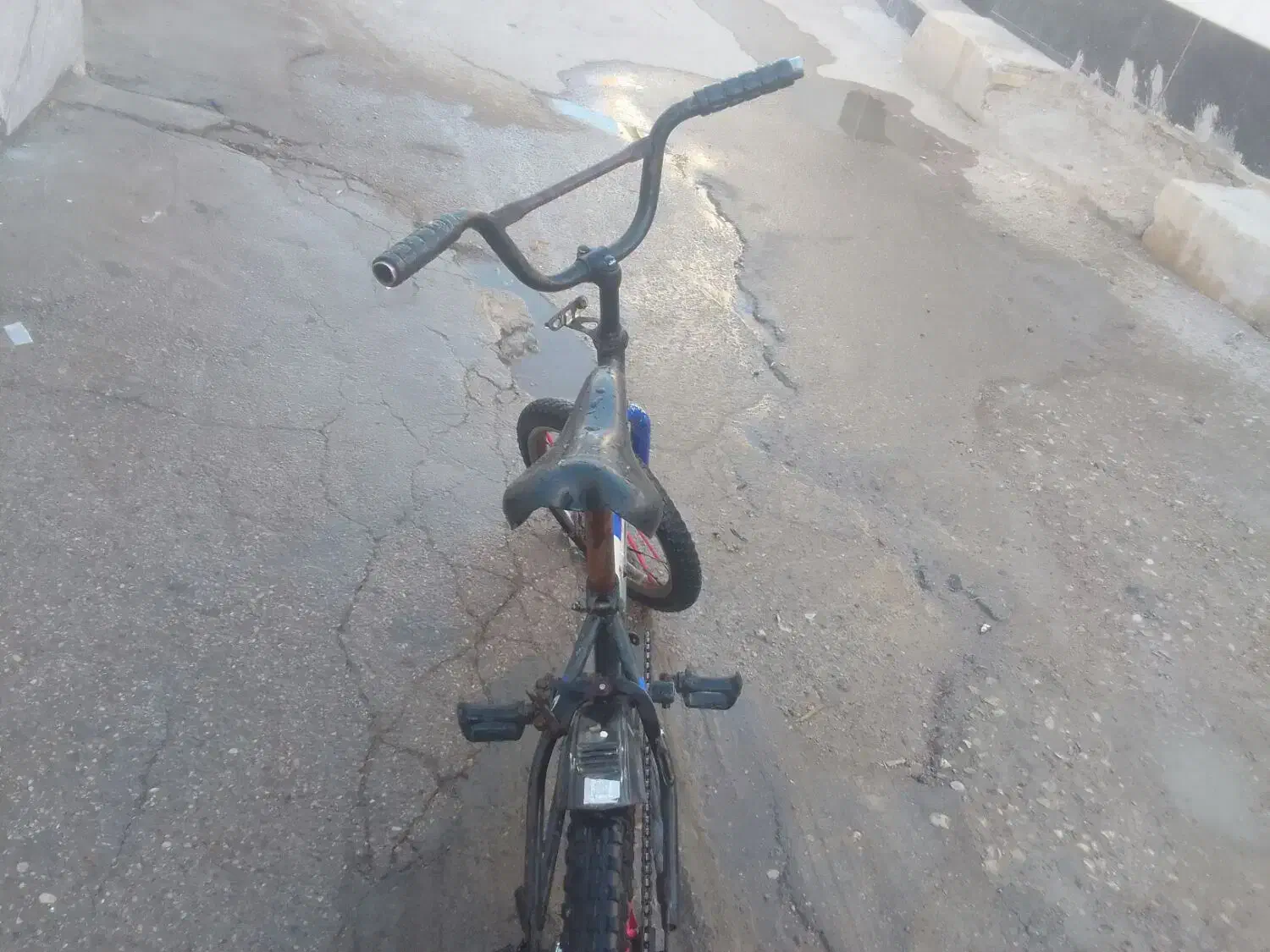 دوچرخه 16|دوچرخه، اسکیت، اسکوتر|باوی, |دیوار