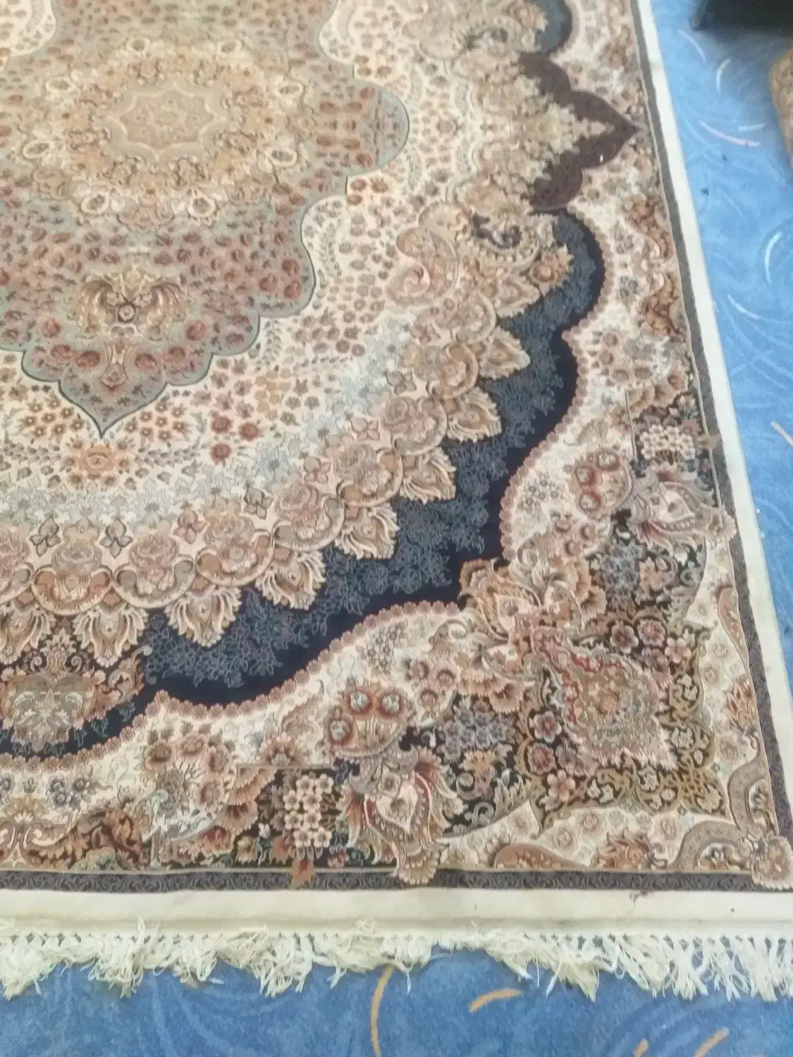 فرش سرمه ای|فرش|زنجان, |دیوار