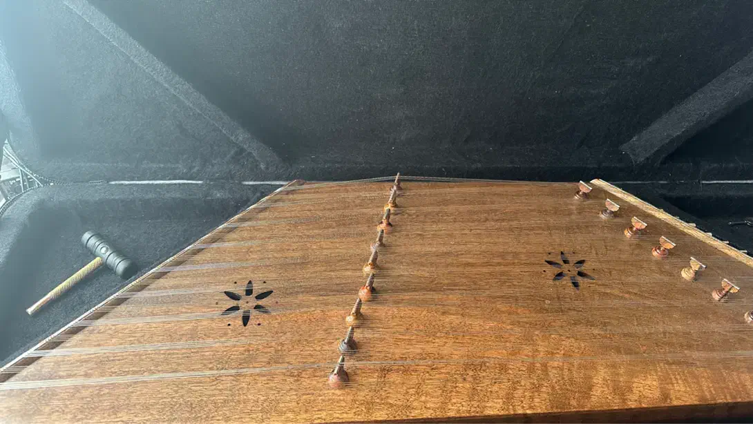 سنتور حرفه ای ( میثم علیپور )|سازهای سنتی|تهران, صادقیه|دیوار