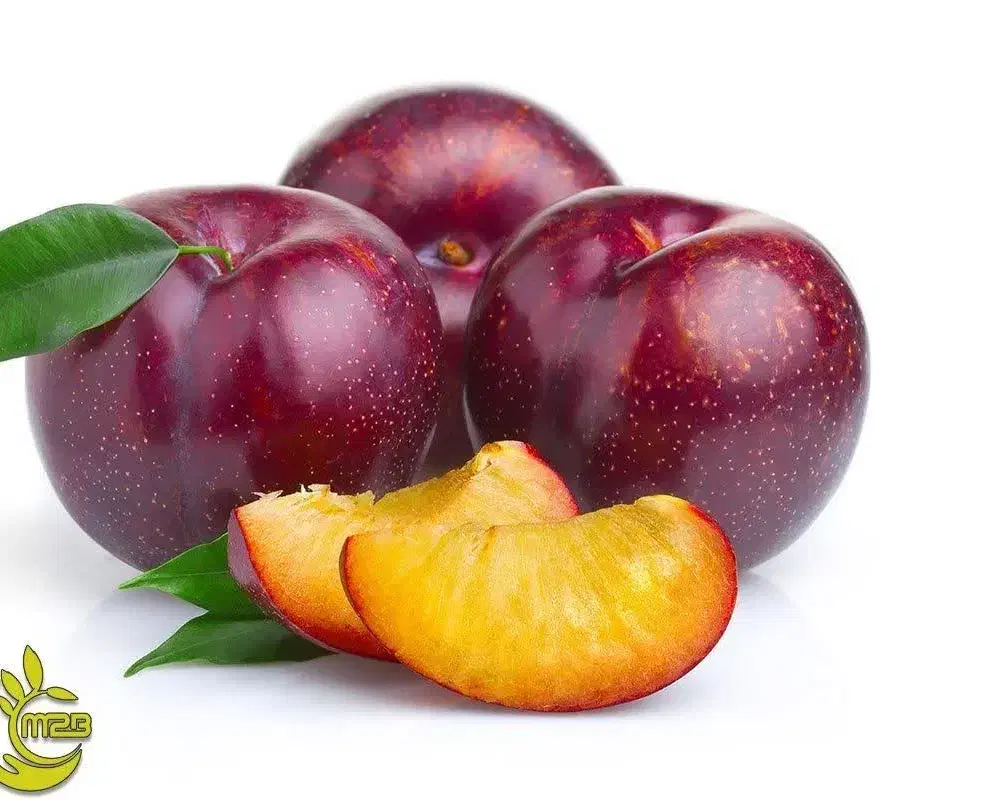 پیش فروش نهال آلو شابلون اختری|خدمات باغبانی و درختکاری|دوگنبدان, |دیوار