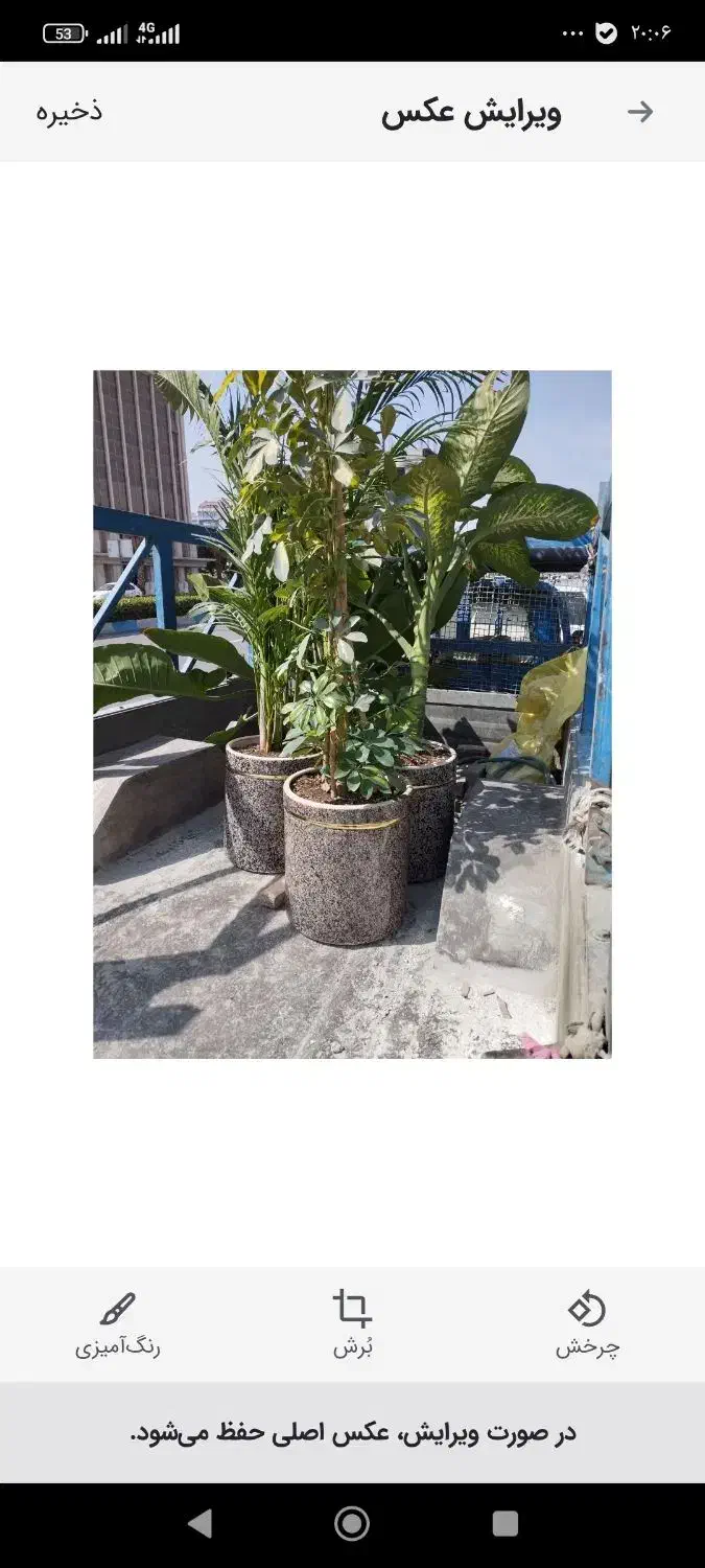 هرس کردن درخت ودرخچه وکاشت گل وگیاه و...|خدمات باغبانی و درختکاری|بندرعباس, |دیوار