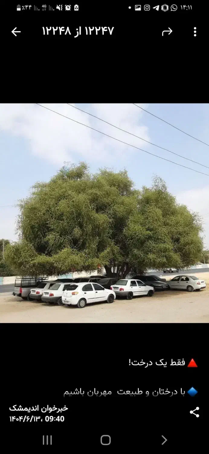 زمین اجاره ای دیم|اجارهٔ دفتر صنعتی، کشاورزی، تجاری|اندیمشک, |دیوار