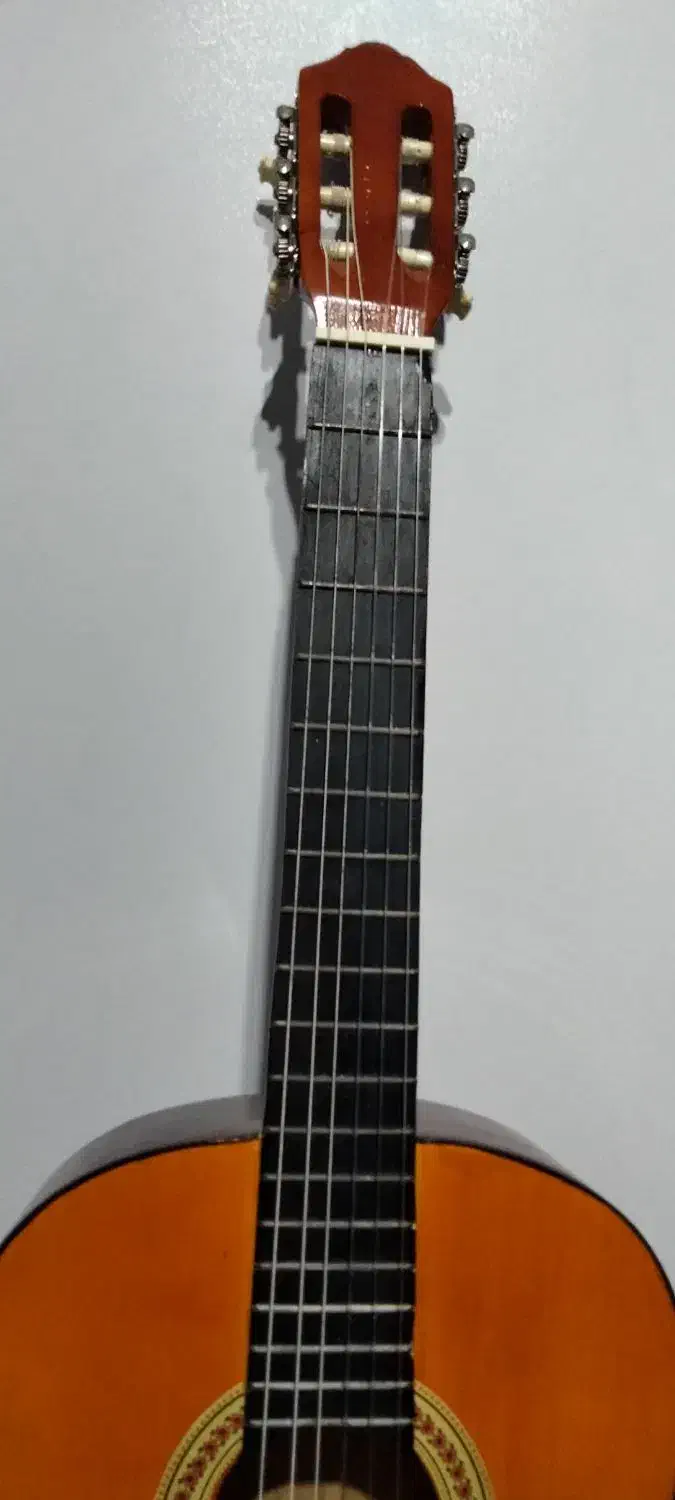 فروش گیتار کلاسیک|گیتار، بیس، امپلیفایر|کردکوی, |دیوار