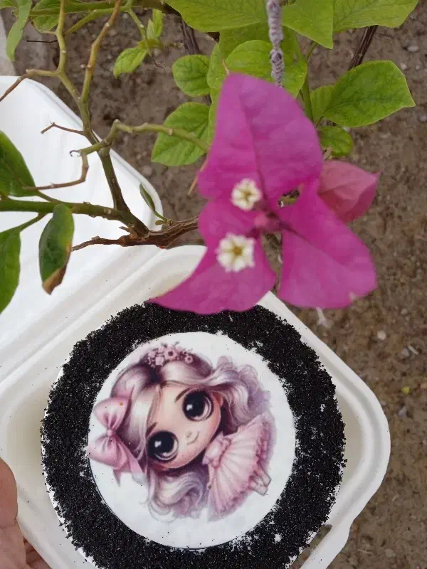 کیک خونگی|خوردنی و آشامیدنی|بندر امام خمینی, |دیوار