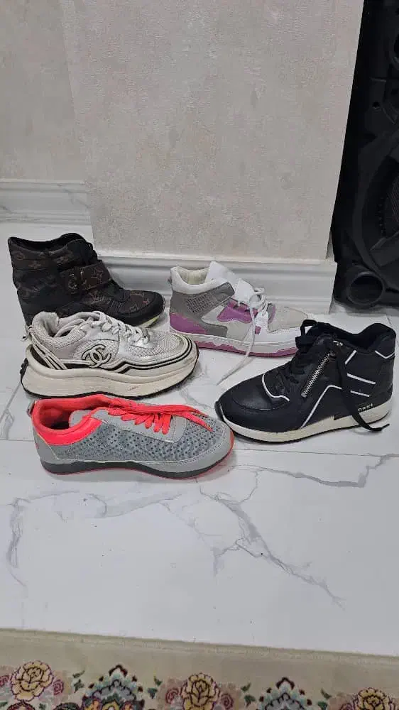 کفش وکتونی|کیف، کفش، کمربند|رشت, جهاد|دیوار