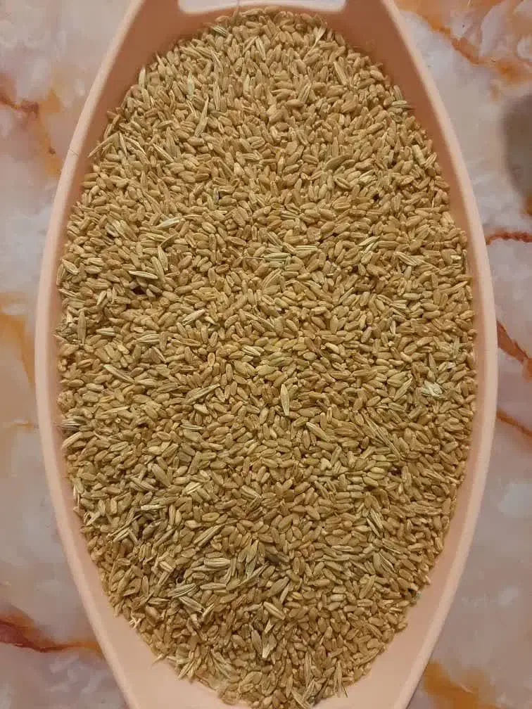 گندم دیم|خدمات باغبانی و درختکاری|آبدانان, |دیوار