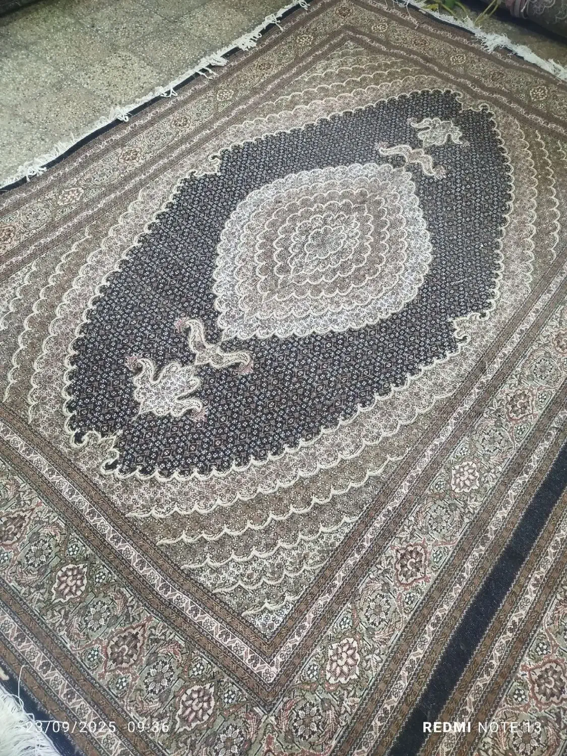 فرش ۳ در۴ هس اندازش سرمهای رنگ افسری حاشیه|فرش|اردبیل, |دیوار