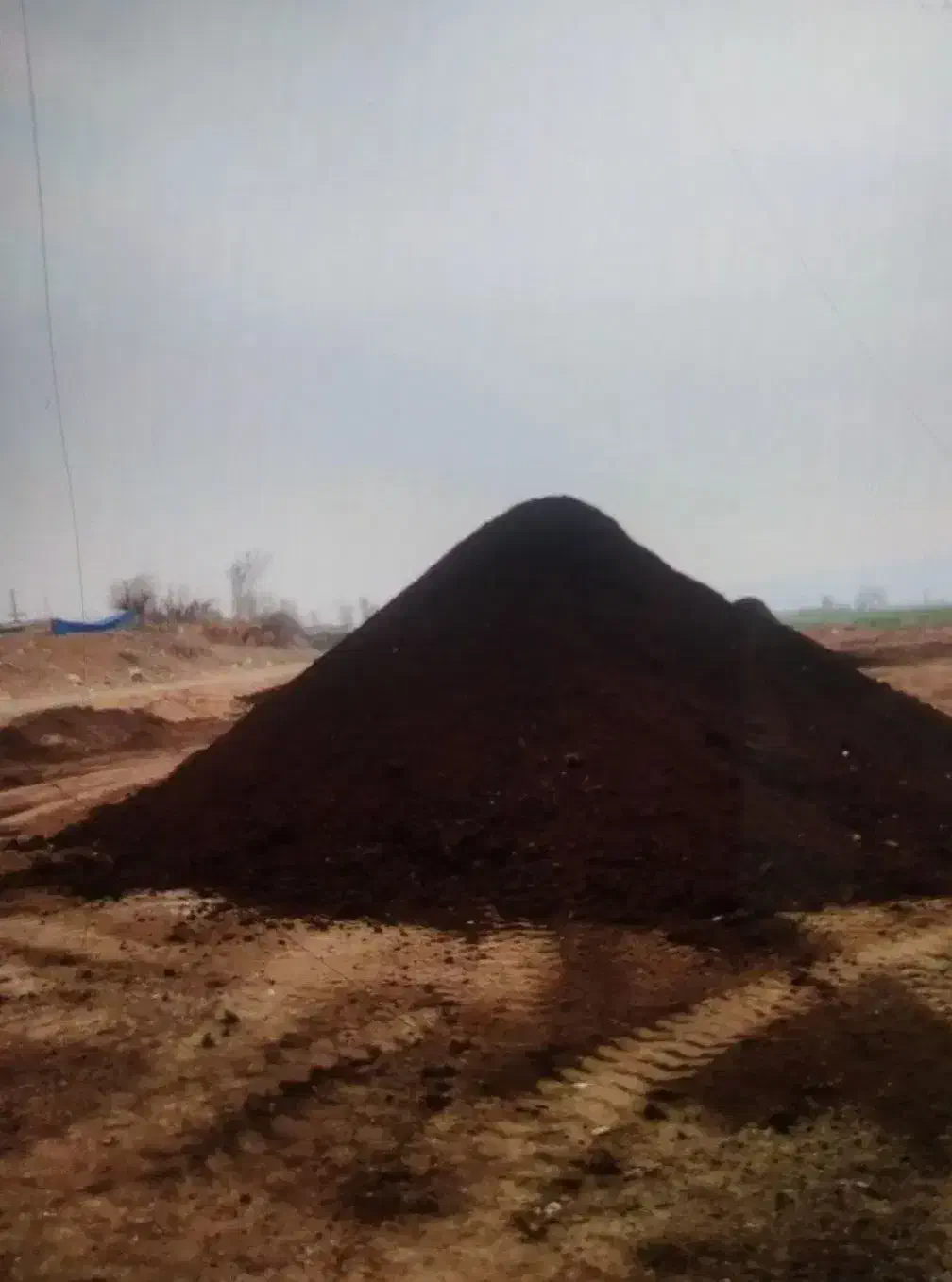 کود‌گاوی|خدمات باغبانی و درختکاری|مشهد, کوی سیدی|دیوار