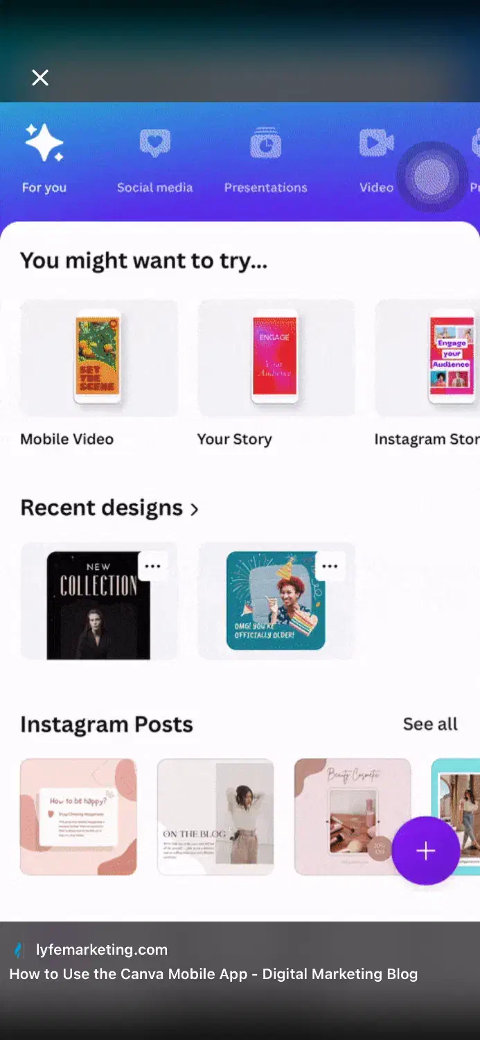 به یک طراح خانم سایت و گرافیست حرفه ای نیازمندیم.|استخدام رایانه و فناوری اطلاعات|سنندج, |دیوار