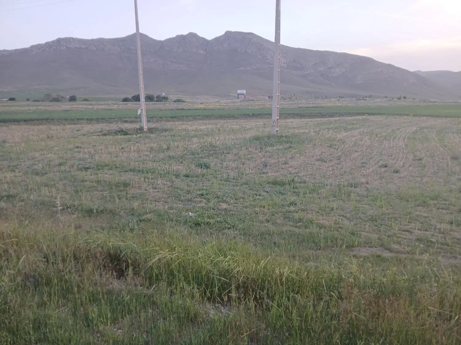 ۱۰۰۰ متر زمین مسکونی|فروش زمین و ملک کلنگی|ضیاء آباد, |دیوار