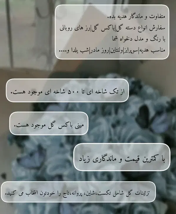 گل شب یلدا|گل مصنوعی|اردبیل, |دیوار