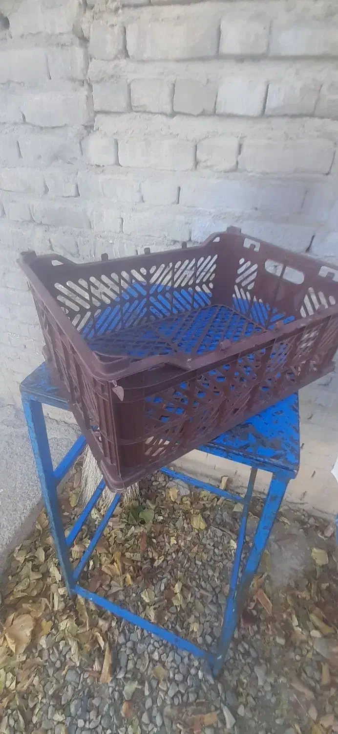 فروش سبد میوه|عمده‌فروشی|اهر, |دیوار