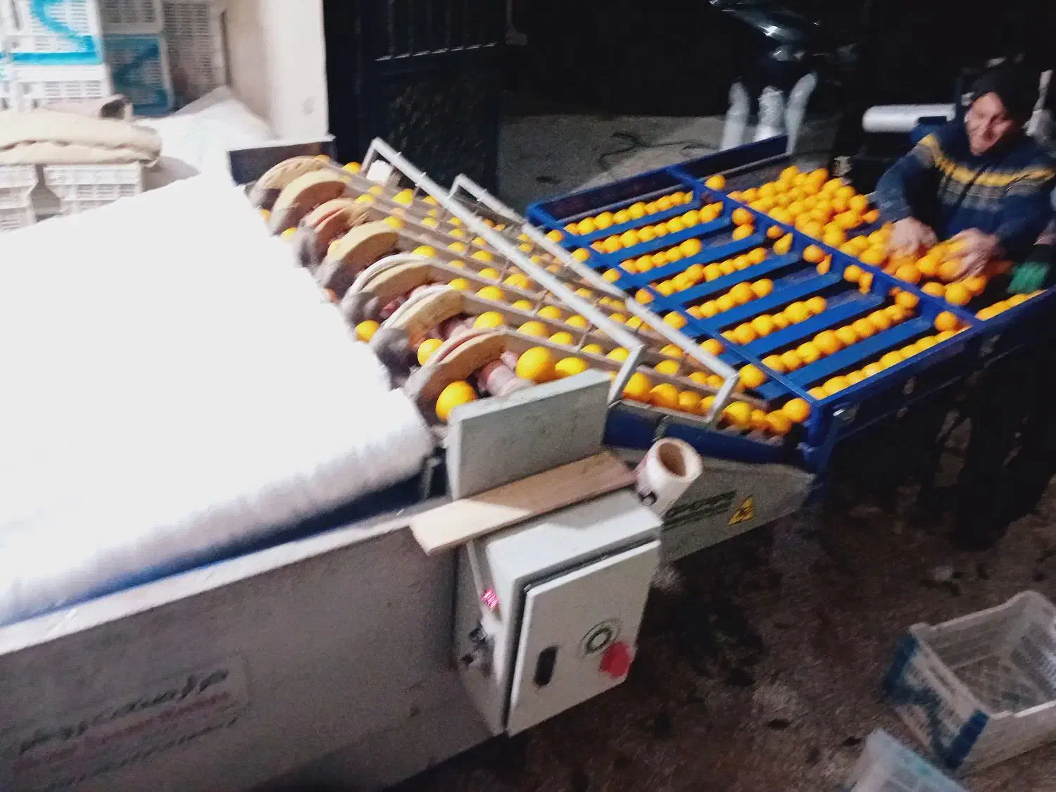 پلاستیک پیچی وگرمادرمانی|خدمات پیشه و مهارت|قائم‌شهر, |دیوار