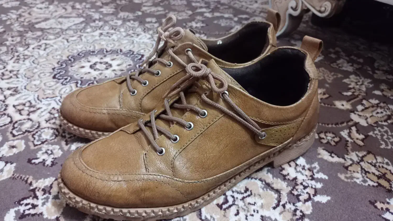 کفش|کیف، کفش، کمربند|سبزوار, مدرس|دیوار