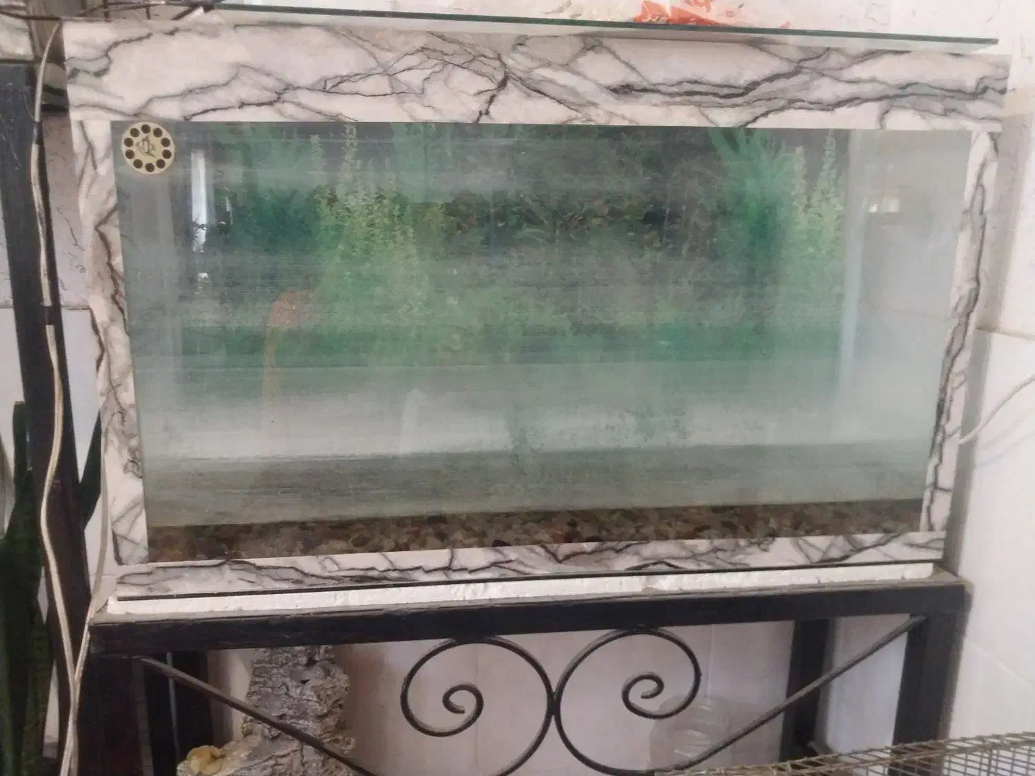 دو عدد آکواریوم کامل|ماهی|رفسنجان, |دیوار