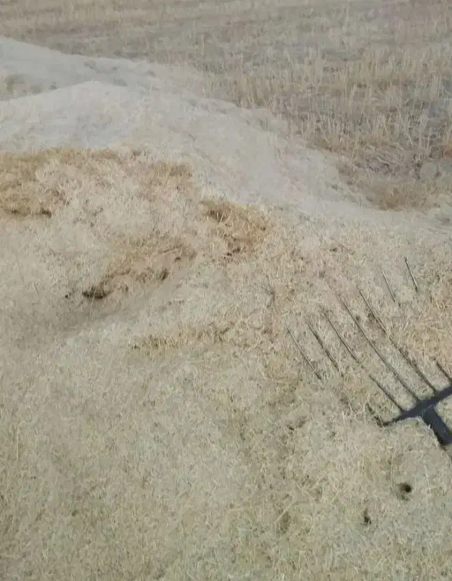 کاه کمبایین|لوازم جانبی حیوانات|بیجار, |دیوار