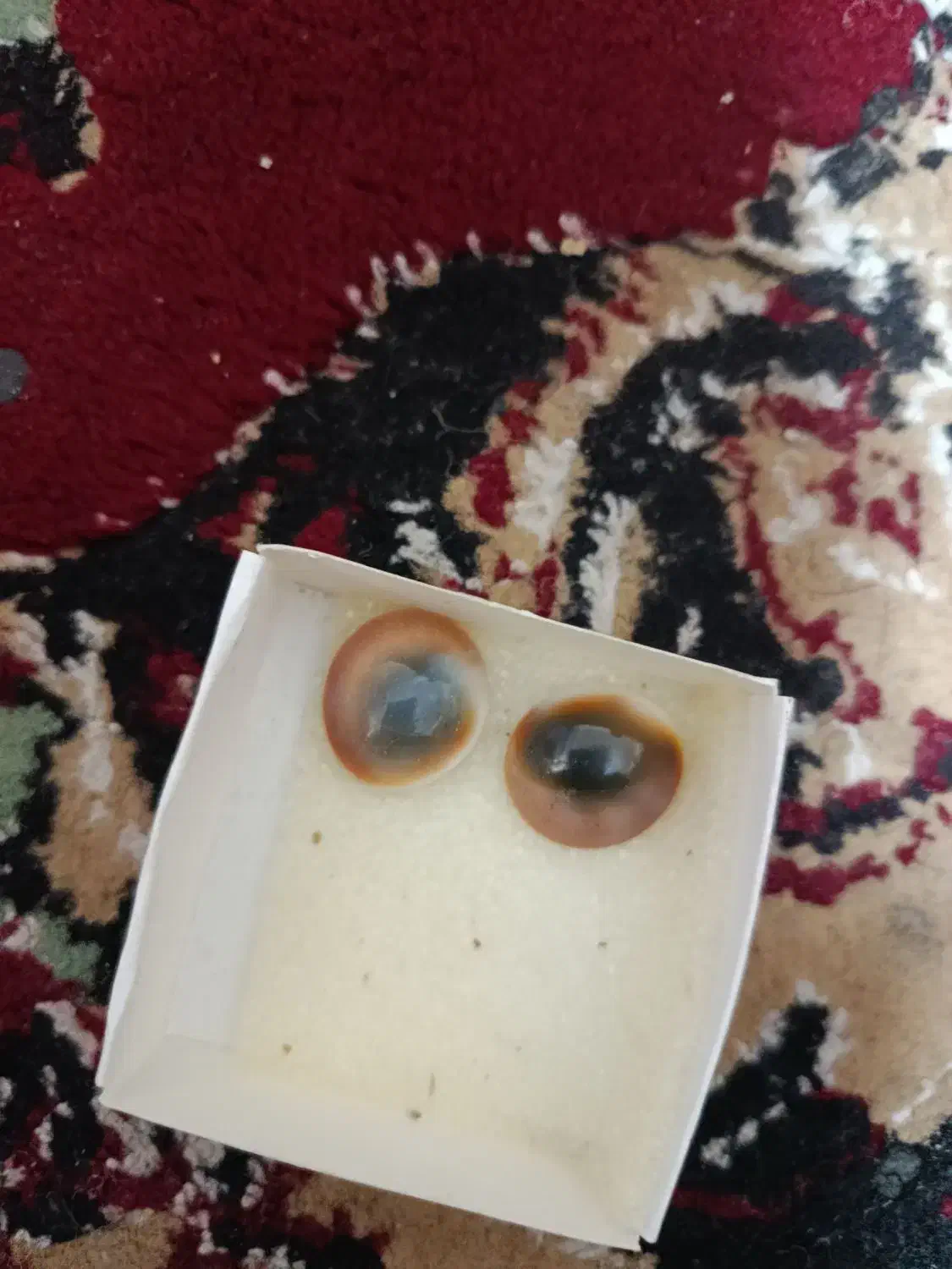 مهره اصل|جواهرات|تربت‌حیدریه, شهرک ولیعصر|دیوار