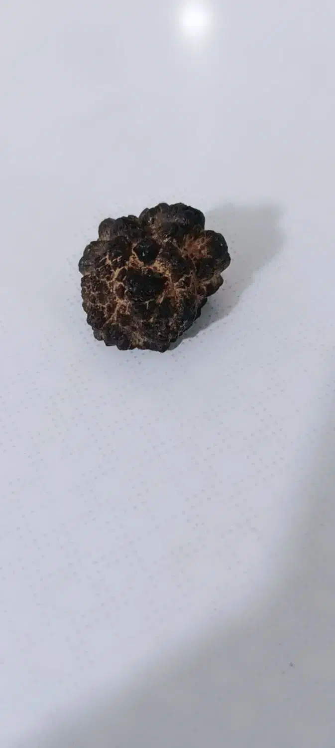 شهاب سنگ اصلی|کلکسیون و سرگرمی|یاسوج, |دیوار