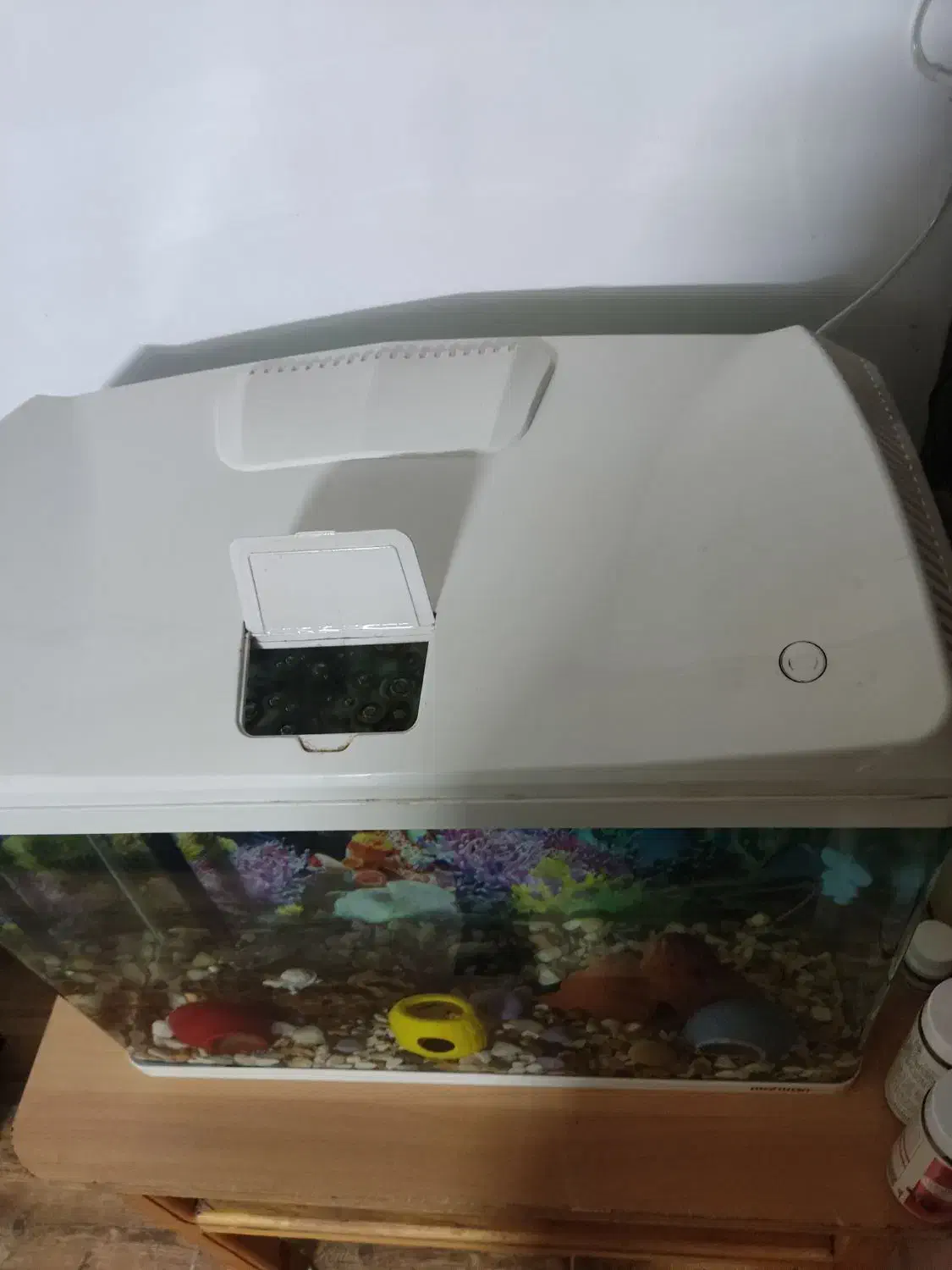 آکواریوم ماهیران|ماهی|اراک, |دیوار