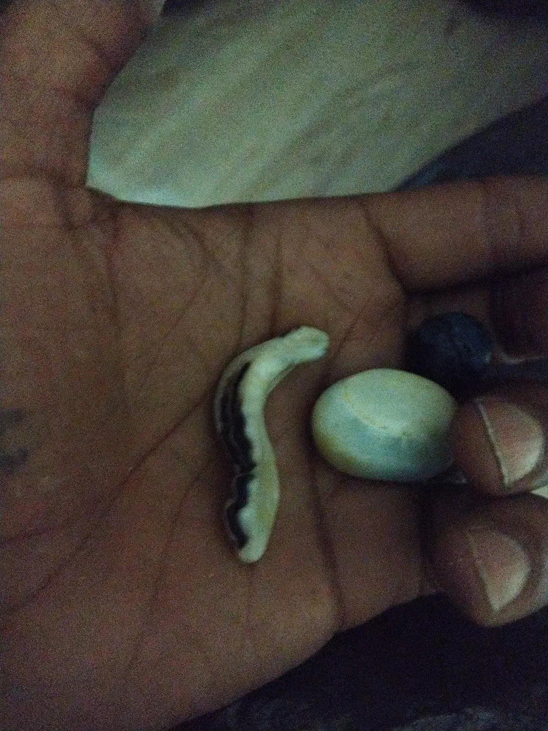 سنگهای قیمتی کمیاب|کلکسیون اشیاء عتیقه|بندرعباس, |دیوار