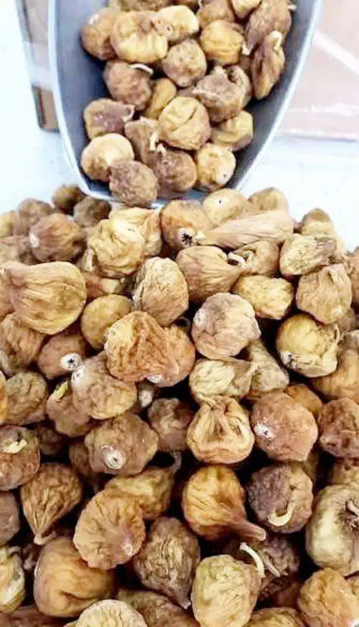 انجیر تازه امسالی ( شیراز ) ۵۹۰/۰۰۰    نرم و شیرین|خوردنی و آشامیدنی|قم, ولیعصر|دیوار