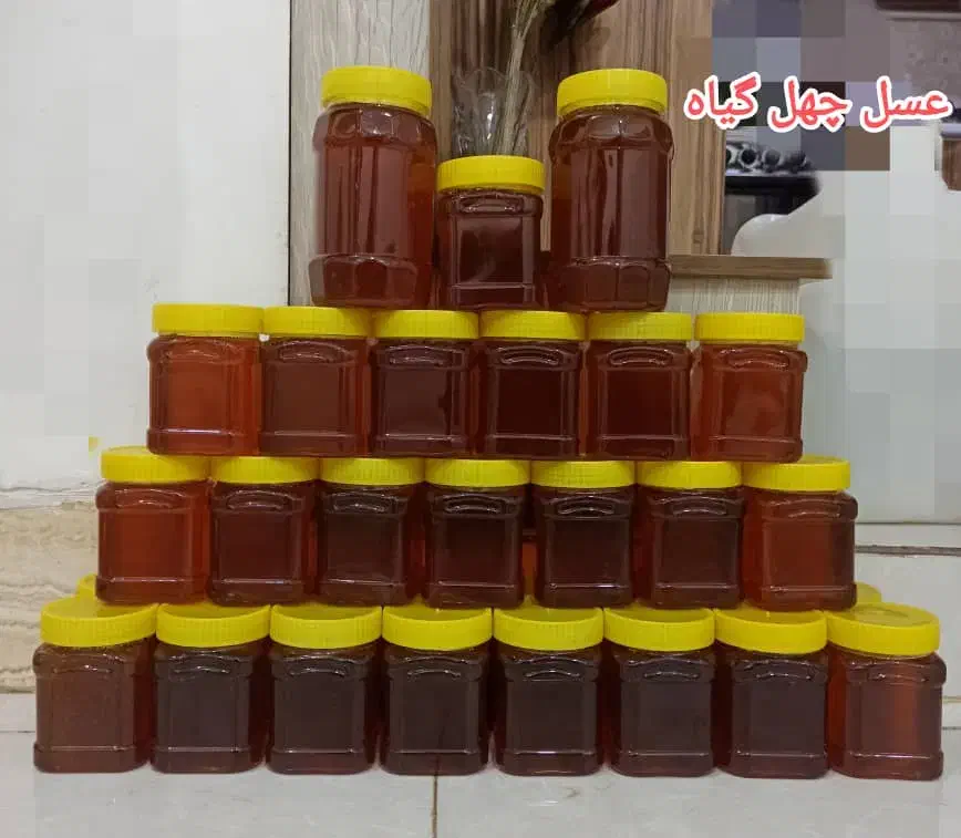 عسل چهل گیاه|عمده‌فروشی|میرجاوه, |دیوار