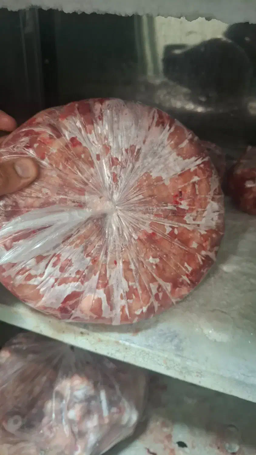 بچه فیله      اسکلت قلم کمر قفسه.      پا مرغ|عمدهفروشی|پردیس, شهرک صنعتی خرمدشت فاز ۷|دیوار