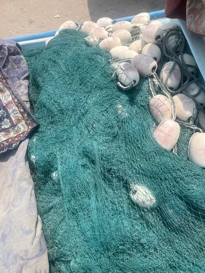 جلماهی|ماهیگیری|قشم, |دیوار