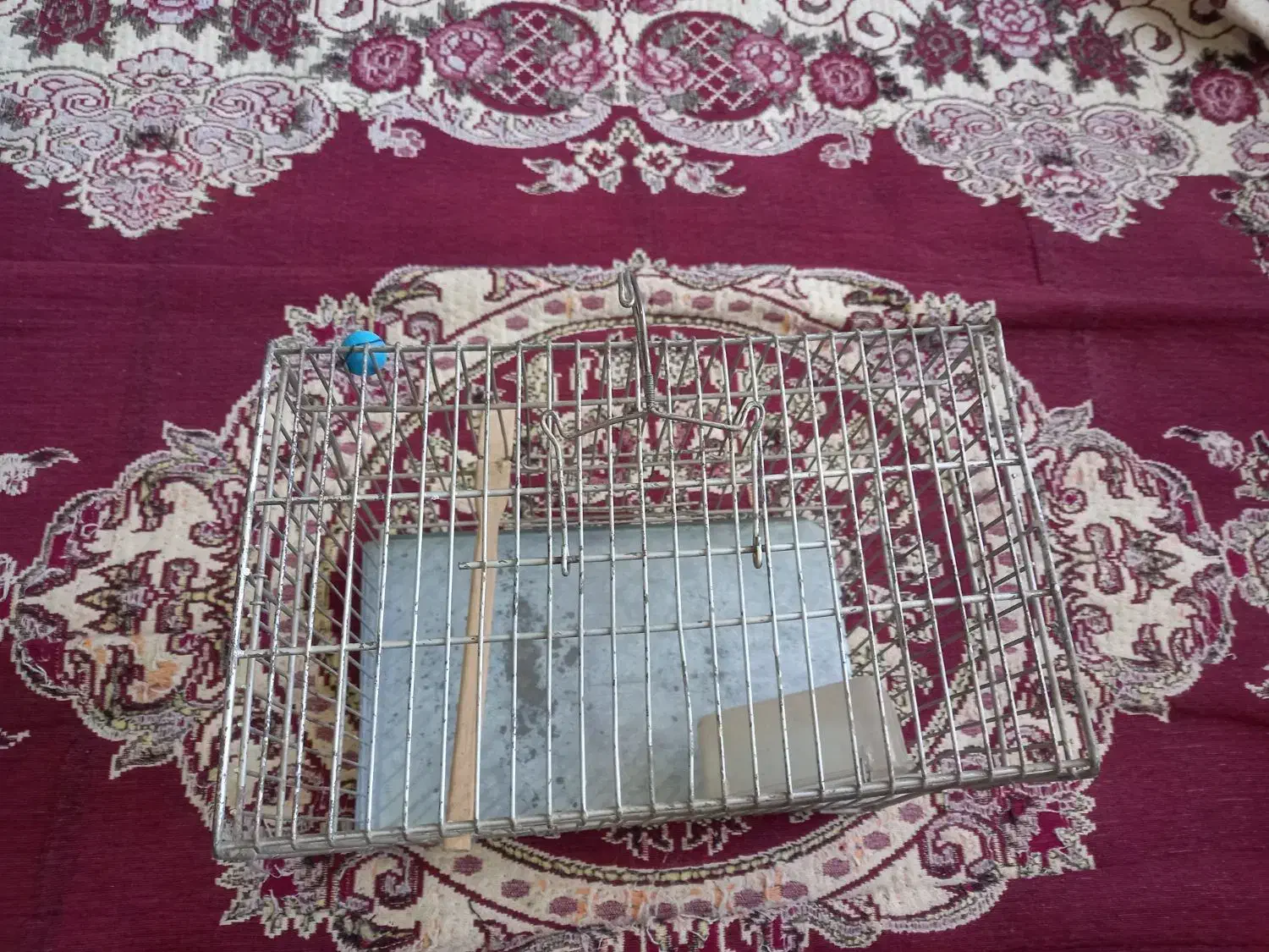 قفس پرنده|لوازم جانبی حیوانات|همدان, |دیوار