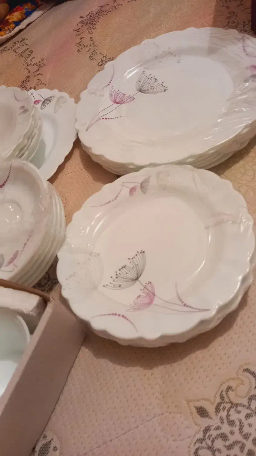 سرویس اکوپا|ظروف سرو و پذیرایی|دوگنبدان, |دیوار