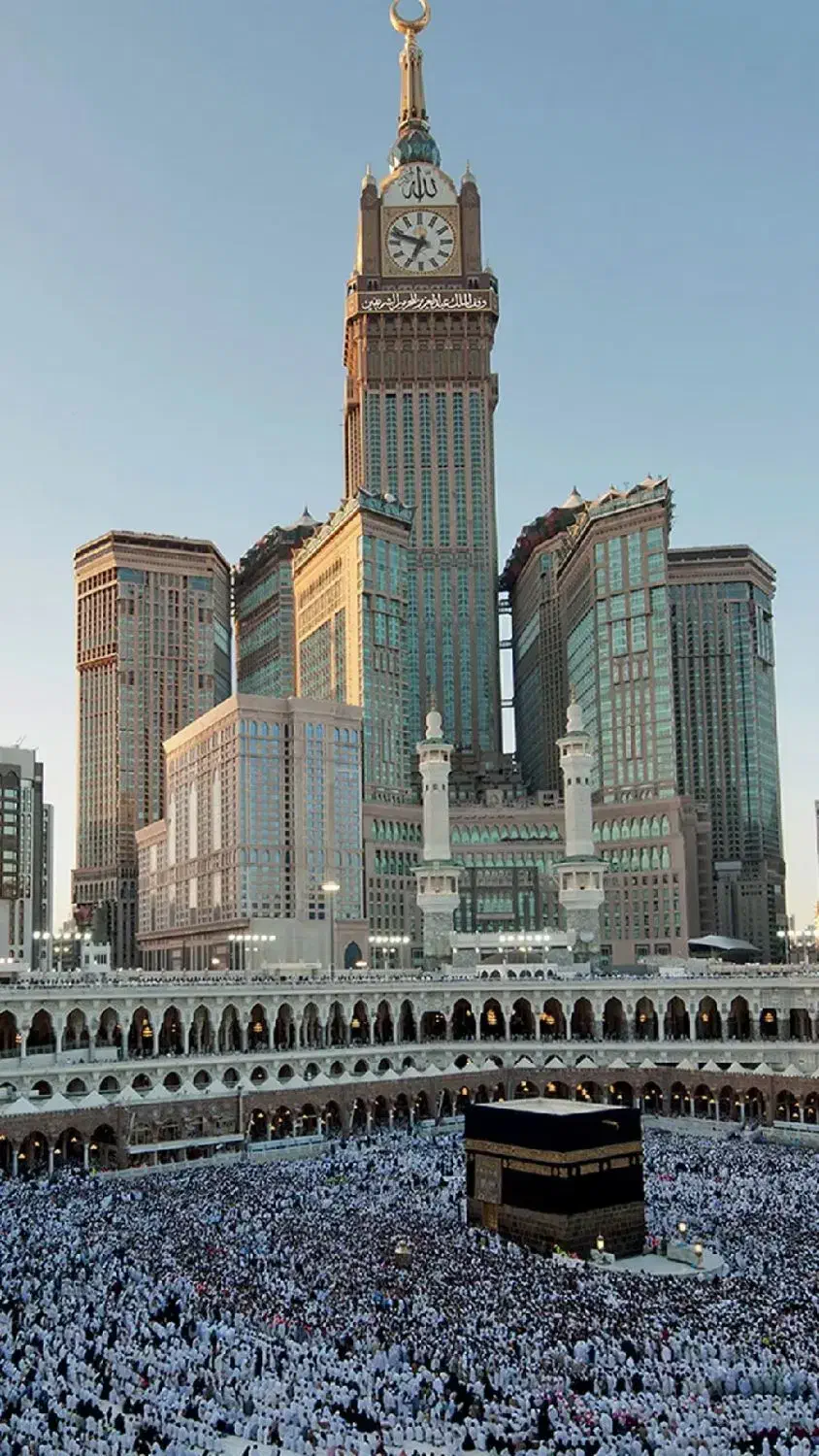 فروش چند عدد فیش حج|تور و چارتر|گرگان, |دیوار