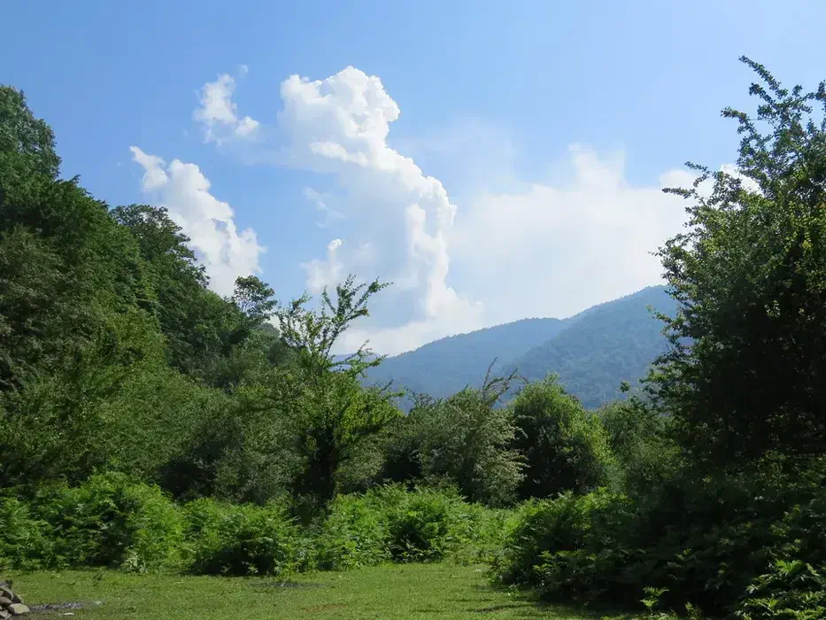 راهنمایی برای اوقات فراغت|فعالیت داوطلبانه|کرمان, |دیوار