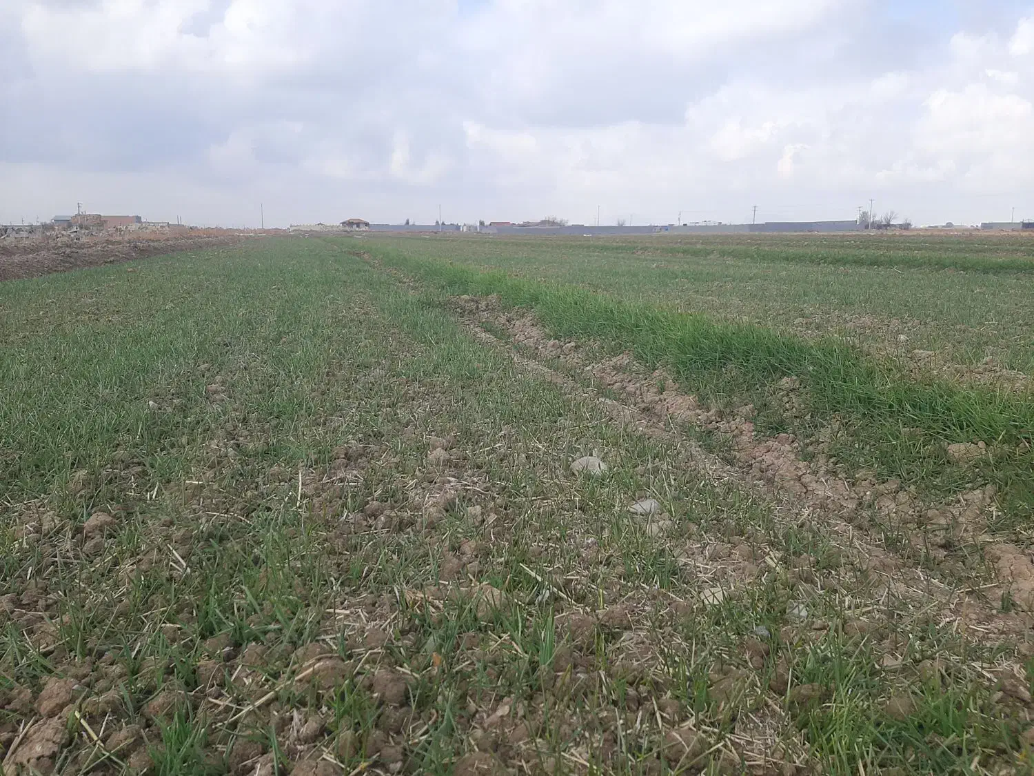 ۳۰۰۰ متر زمین با آب و برق و سند|فروش دفتر صنعتی، کشاورزی، تجاری|رامشه, |دیوار