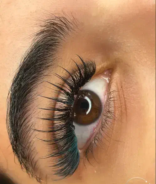 آموزش اصولی و صفر تا صد مژه|خدمات آموزشی|قیدار, |دیوار