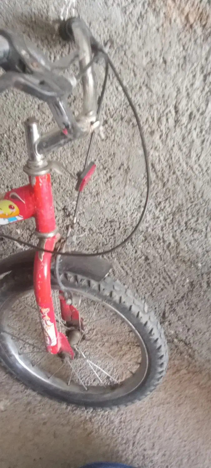 دوچرخه 16 و رینگ|دوچرخه، اسکیت، اسکوتر|شیروان (خراسان), |دیوار