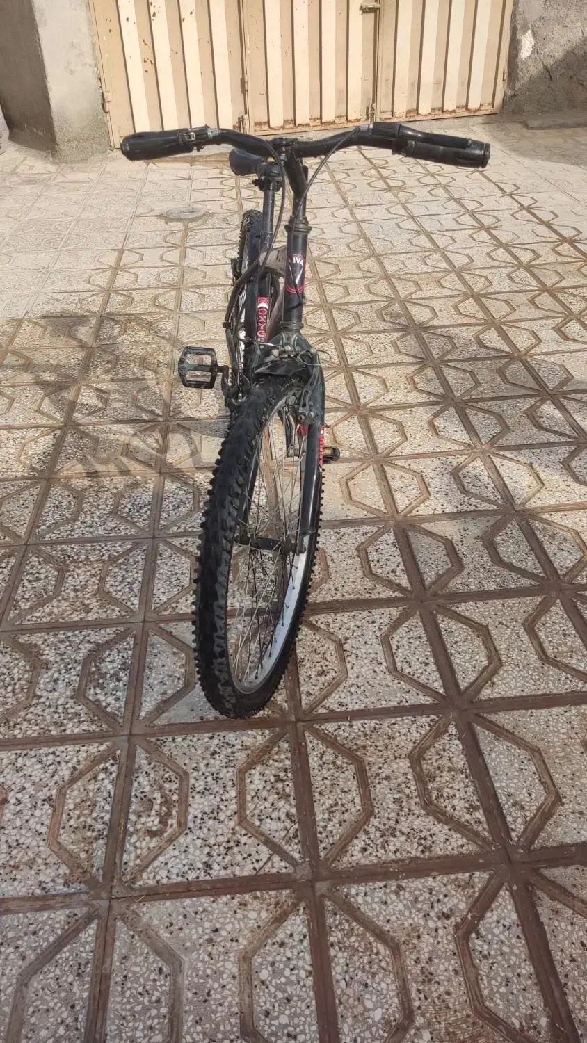 دوچرخه|دوچرخه، اسکیت، اسکوتر|مه ولات, |دیوار