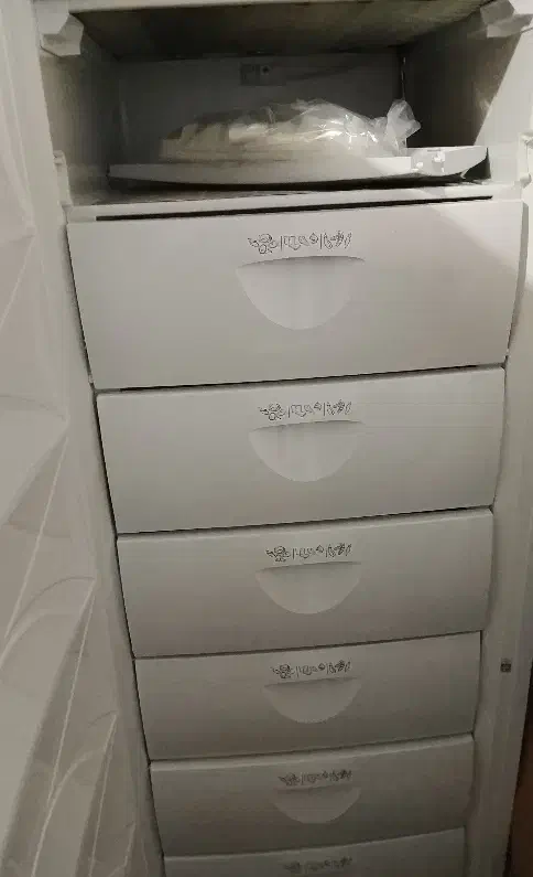 دو عدد قالی و یک فریزر پارس و تخت خواب|یخچال و فریزر|بم, |دیوار