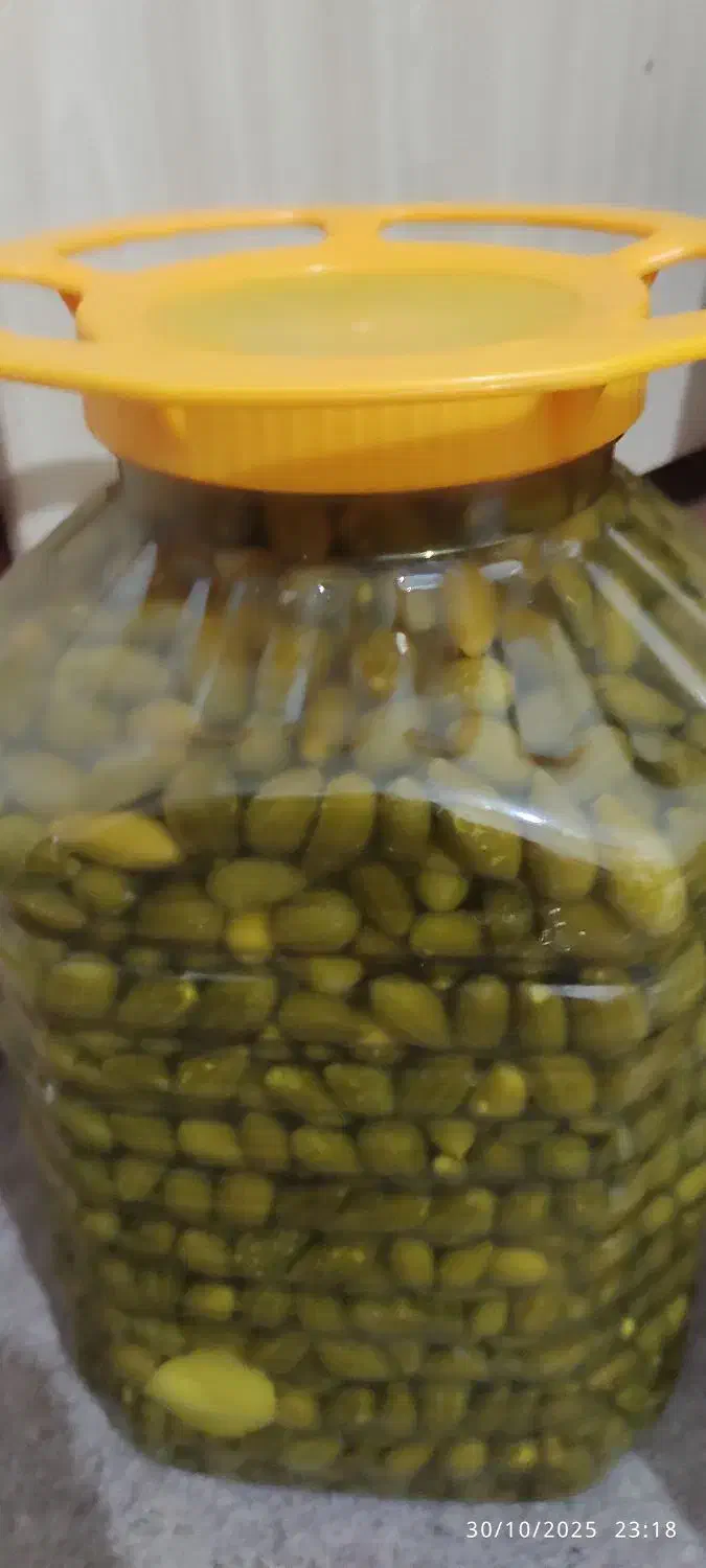 ترشی لگجی خوش طعم درج یک|خوردنی و آشامیدنی|اهواز, کوی سعدی|دیوار